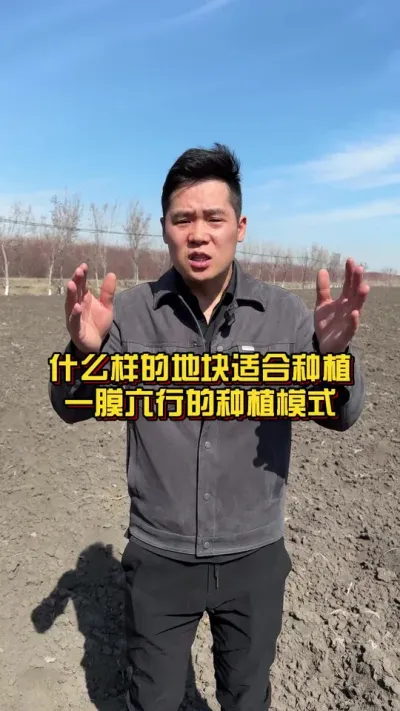 什么样的地块适合种植一膜六行的种植模式！ ##棉花种植专家讲座 #关注我每天分享种植知识 #棉花种植技术 @抖音小助手