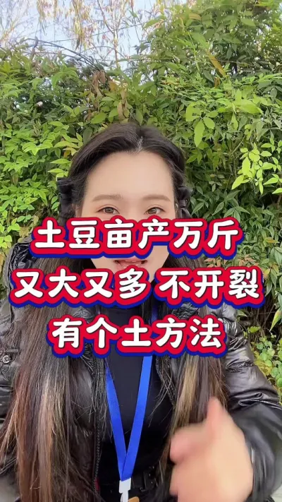 土豆亩产万斤不开裂的土方法#种植小技巧 #土豆高产种植 #马铃薯 #红薯种植 #土豆