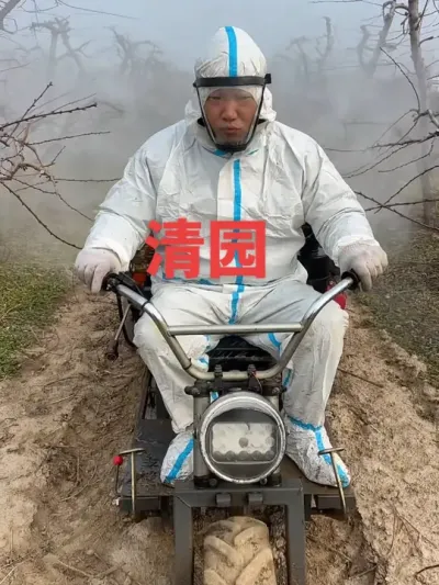 清园 #传播农业小知识 #分享果树种植管理技术 #新农人