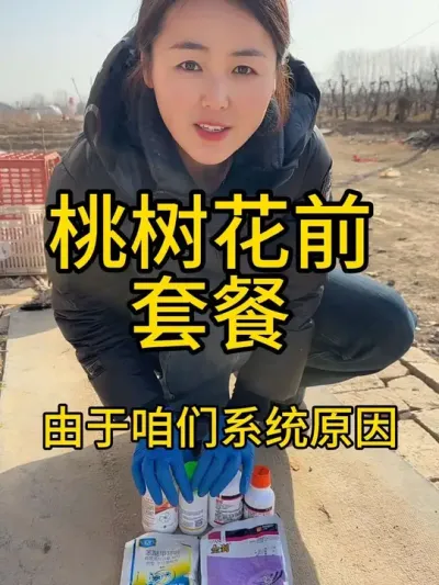 桃树花前套餐 找不到桃树花前链接的朋友，直接视频下面拍就行，桃树、杏树、李子树都可以用#服务三农支持三农 #自家果园 #病虫害防治