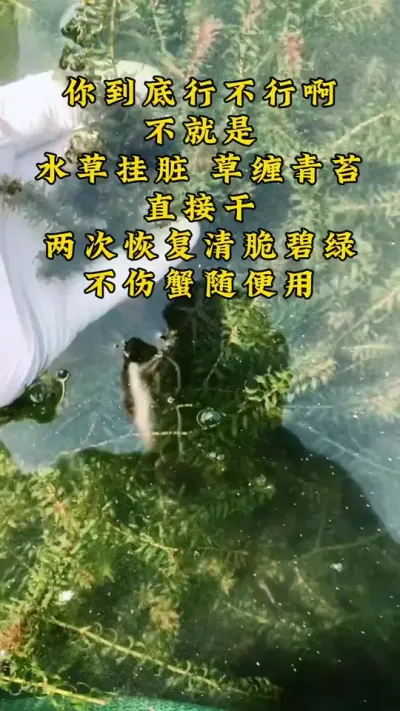 你到底行不行，不就是水草挂脏就把你难倒了。