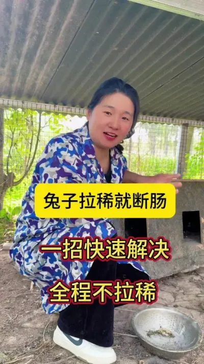 兔子拉稀就断肠，一不小心就凉凉，学会喂养是关键，远离兔丙#兔子 #养兔人 #肉兔 #兔子养殖 #养兔分享