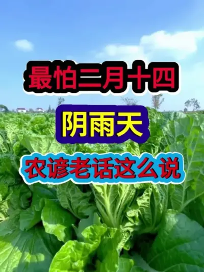 最怕二月十四阴雨天农谚老话这么说 #农业谚语 #谚语 #谚语俗语 #谚语分享 #农业种植