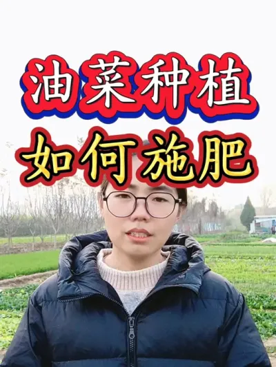 油菜种植如何进行施肥？什么时期施肥？施什么肥？#油菜种植 #油菜施肥 #三农 #农业 #油菜肥料配方