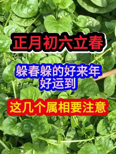 正月初六立春躲春躲的好来年好运到这几个属相要注意 #服务三农支持三农 #农业种植 #种植小技巧 #立春 #分享农业知识帮农民增产增收
