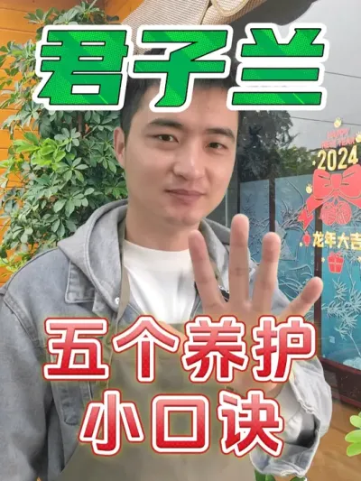 这五个君子兰养护小口诀，你知道吗？ #养花  #君子兰  #养护小知识