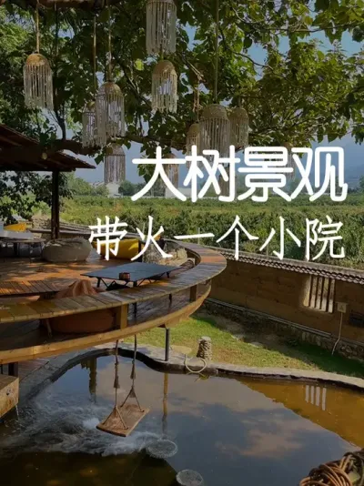 这家小院竟然通过一棵大树走红？！ #小院改造 #创意 #氛围感 #网红打卡地 #天雅设计