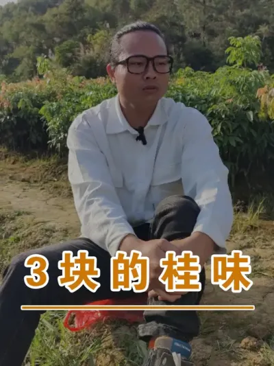 这是生意本质的问题#广西灵山荔枝果苗#农业创业#抖音新农人计划2024#吕老师种果苗