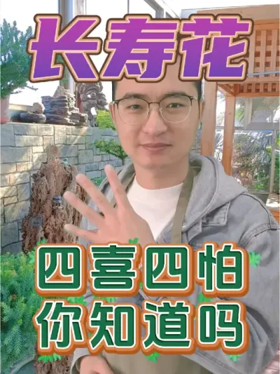 长寿花有四喜四怕，看懂才能养好它！ #养花 #长寿花 #花卉绿植