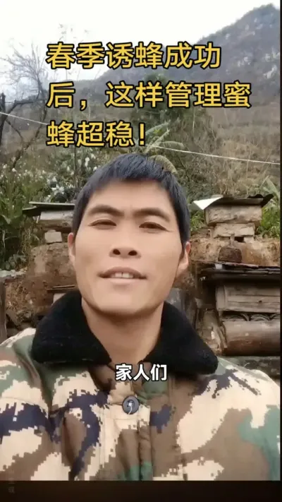 #内容启发搜索 #谌蜜 #养蜂技术 #养蜂技术分享 ，春季诱蜂成功后，这样管理蜜蜂超稳！@抖音小助手 @DOU+小助手