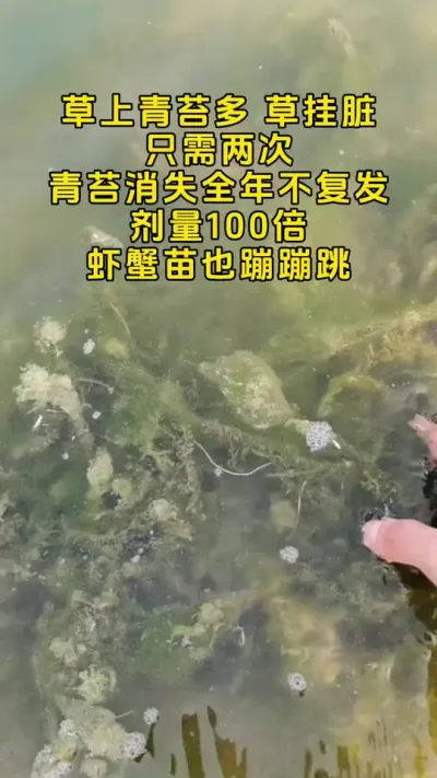 去除草缠青苔根本不需要那么多麻烦事。#鱼虾蟹养殖 #螃蟹养殖 #大闸蟹养殖 #河蟹养殖 #三农 @DOU+小助手