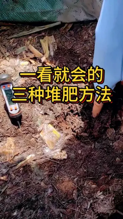 一看就会的三种堆肥方法 家里厨余不要扔，做堆肥变废为宝#种植小技巧 #变废弃为宝 #堆肥 #阳台种菜 #自制有机肥