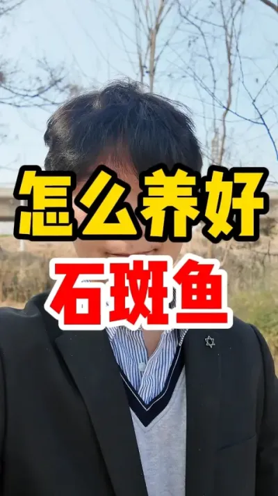 怎么养好石斑鱼 #石斑鱼#养鱼人 #水族