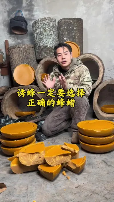 春季想要顺利诱到蜜蜂选对蜂蜡，可以做到事半功倍#养蜂 #诱蜂 #蜂蜡 #养蜂技术 @抖音小助手
