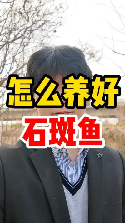 怎么养好石斑鱼 #石斑鱼养殖 #养鱼人 #鱼苗