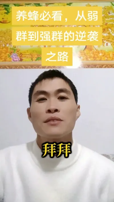 #养蜂#养蜂技术  #养蜂技术分享 ，养蜂必看，从弱群到强群的逆袭之路。@抖音小助手 @DOU+小助手