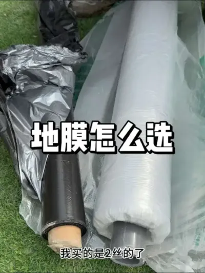 种菜铺白地膜还是银地膜，都有什么区别 #园艺