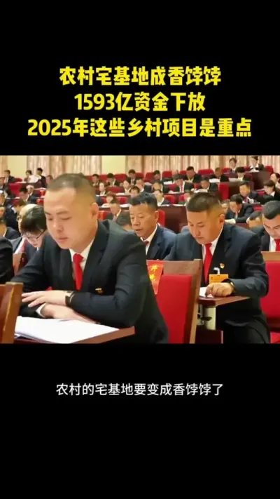 农村宅基地成香饽饽了1593亿资金下放2025年这些乡村项目是重点 #乡村振兴 #乡村扶持 #休闲农业 #家庭农场