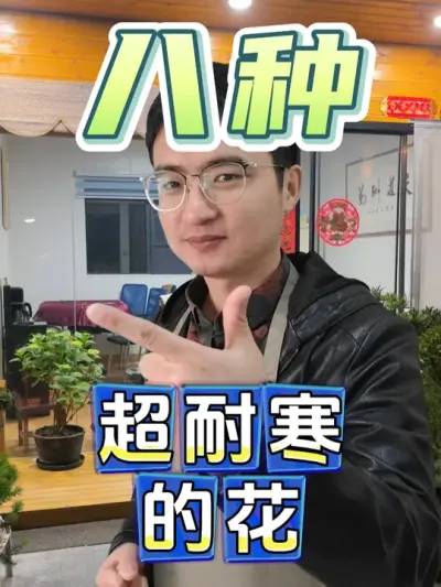 八种超耐寒的花，看看你家里有哪种吧！ #养花  #花卉绿植  #耐寒花卉