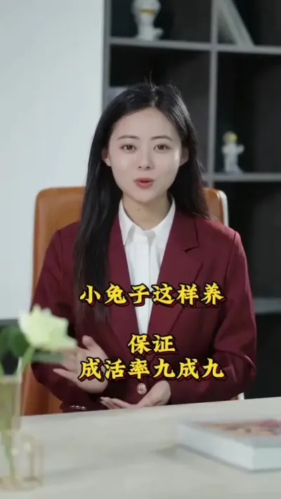 小兔这样养，保证成活率九成九 #肉兔养殖  #养兔人 #兔子 #肉兔养殖 #养兔子注意事项