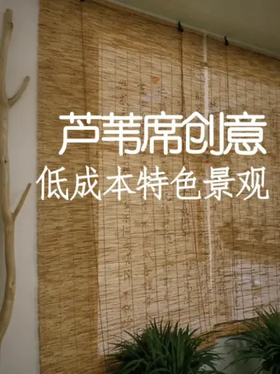 用芦苇席打造低成本创意场景 #小院改造 #小院时光 #氛围感 #网红打卡地 #天雅设计
