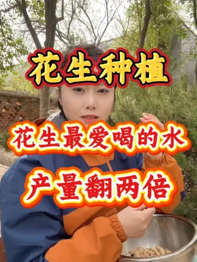 花生最爱喝的水，用对产量翻两倍#花生种植#花生#花生种植管理技术#种花生#花生高产