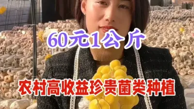 农村高收益珍菌种植，1公斤60元，1间房年赚10万元，收藏 #鸡油菌 #农村致富好项目 #农业种植致富项目推荐 #农村创业项目推荐 #农村小成本创业项目推荐