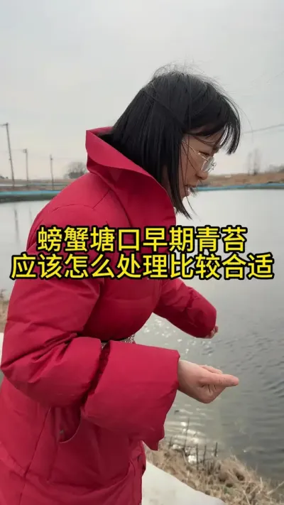 螃蟹塘口，早期青苔应该怎么处理比较合适！！！！ #渔多多养殖模式 #大闸蟹养殖 #三农 #水产养殖 #河蟹养殖
