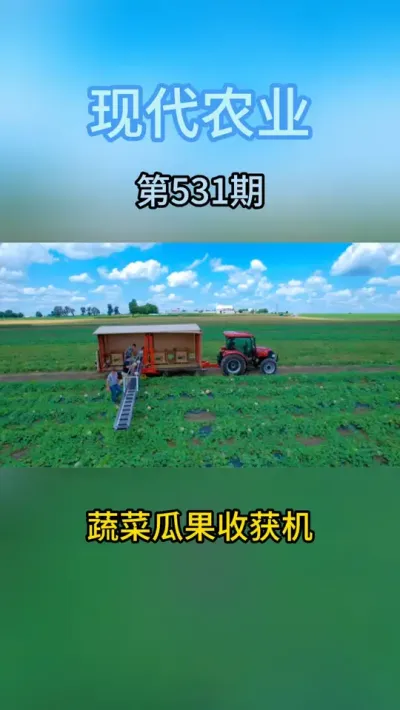 蔬菜一站式收货，简单又快速 #抖音生活青岛嘉年华