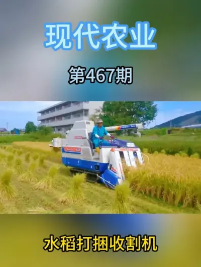 水稻打捆收割机 #现代农业机械 #助力三农 #抖音农机 #收割机 #抖音助农