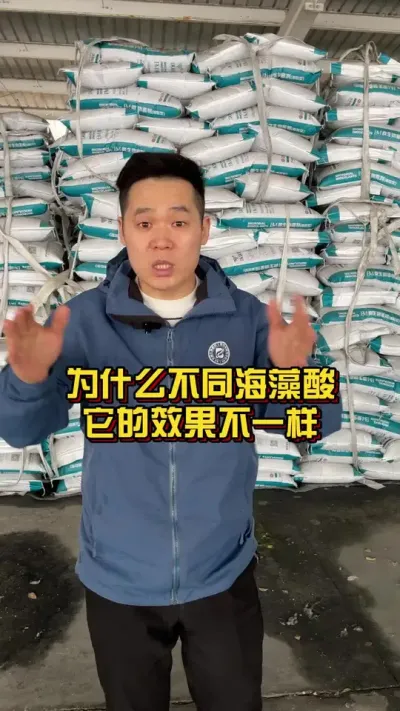 为什么不同的海藻酸他的效果不一样？ #棉花种植专家讲座 #每天分享种植农业小知识 #肥料新知识 @抖音小助手