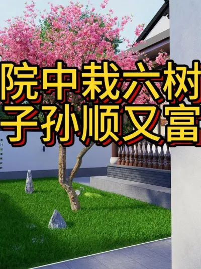农村自建房，院中栽六树，子孙顺又富。 中国传统文化中，很多植物都有美好的寓意，这六种树在哪寓意都很好。#农村自建房 #农村小院 #种树 #小院 #别墅设计