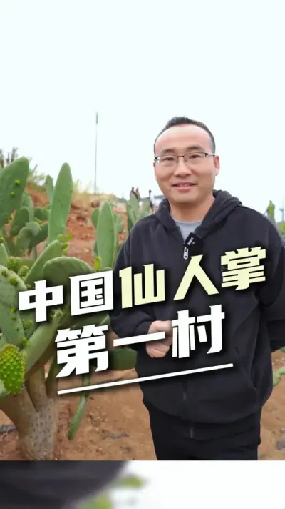 庄子田仙人掌村证明了科技与生态的融入，让每一寸土地都能生金#中国仙人掌第一村 #庄子田 #生态农业 #设施助农 #水肥一体化