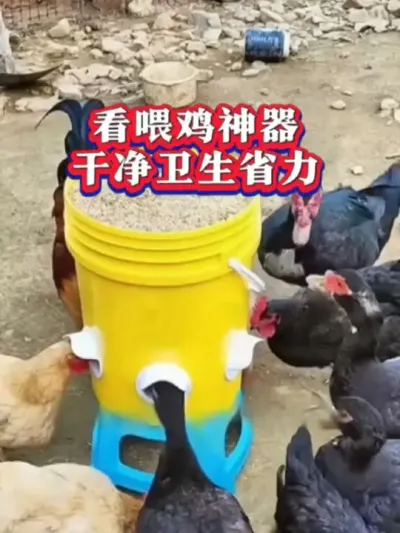 养鸡人太聪明了，发明了这个喂鸡神器，干净卫生好管理#养鸡技术 #喂鸡神器 #养鸡知识 #农村散养土鸡 #养鸡人