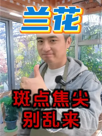 兰花叶子长斑点，只是剪掉就行了吗？ #养花 #兰花 #除菌