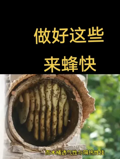 #农村，#诱蜂 ，只要做好了这些，来蜂快，每个都是诱蜂达人。@抖音小助手 @DOU+小助手