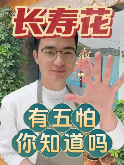 长寿花有五怕，你知道吗？ #养花  #长寿花  #养花小知识