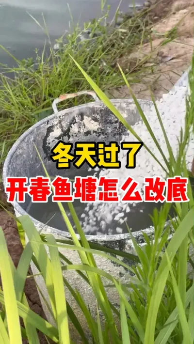 冬天过了开春鱼塘怎么改底 #养鱼 #水产养殖 #养鱼人 #鱼塘 #高密度养殖