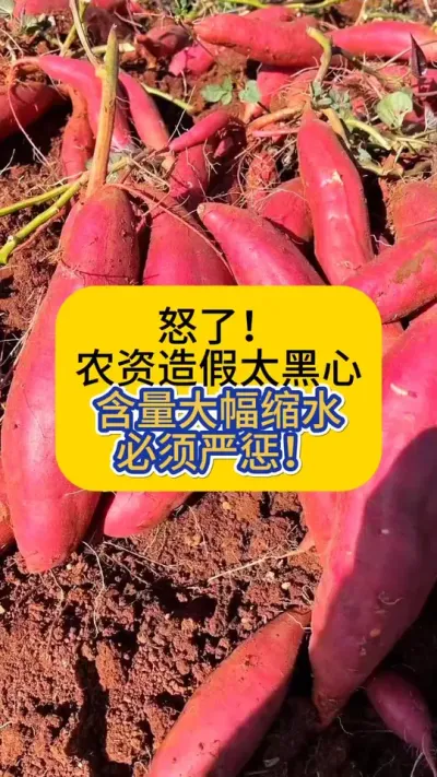 怒了！！！，农资造假太黑心，含量大幅缩水，必须严惩！！！#农资打假 #农资打假保春耕 #红薯种植 #服务三农支持三农 #地下害虫防治