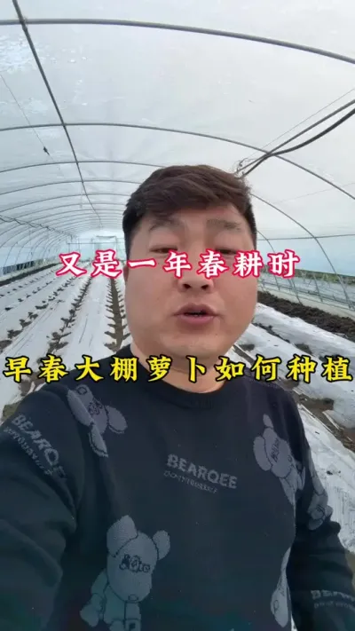 春耕时 #乡村振兴 #春萝卜#种植小技巧 #2025新农人计划乡村振兴蓝图 ，春季萝卜如何种植