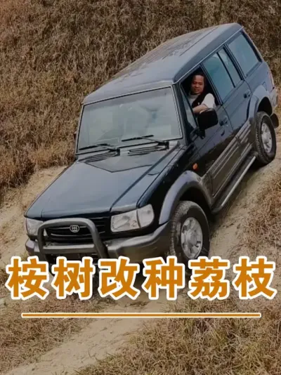 客户的桉树准备不能种了，准备改种荔枝#广西灵山荔枝果苗#农业创业#抖音新农人计划2025#吕老师种果苗