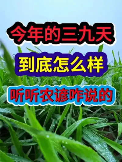 今年的三九天到底怎么样听听农谚咋说的 #农业谚语 #农业种植 #农业天气 #三农节气 #分享农业知识帮农民增产增收