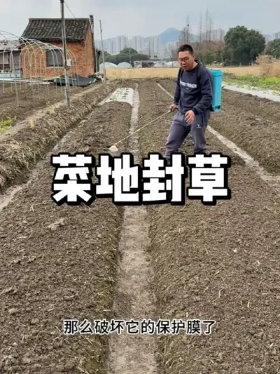 菜地怎么封草，怎么样让草长出来慢一点 #种菜 #种植 #三农 #农业