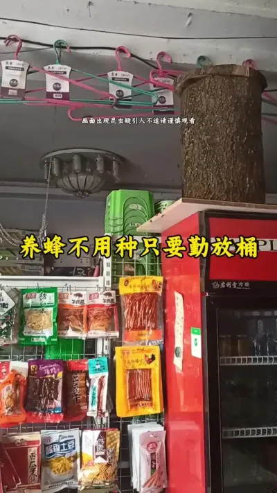 诱蜂就用正宗的中蜂老巢脾蜂蜡，不然一切努力打水漂还浪费时间!正宗货来蜂快#养蜂 #诱蜂 #养蜂技术@抖音小助手