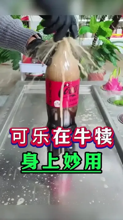 可乐在牛犊身上妙用#新手养牛#养牛#牛羊养殖