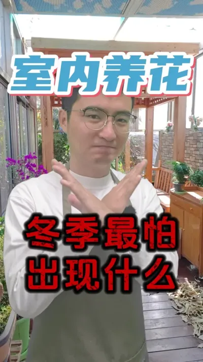 冬天室内养花，最烦人的什么？ #养花 #除虫 #防虫颗粒