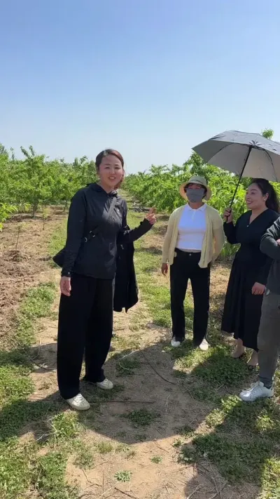 蒙城朋友来果园，互相交流学习经验，#200亩果园 #传播农业小知识 #分享农业知识帮农民增产增收 #农业植保知识分享 #果树管理技术