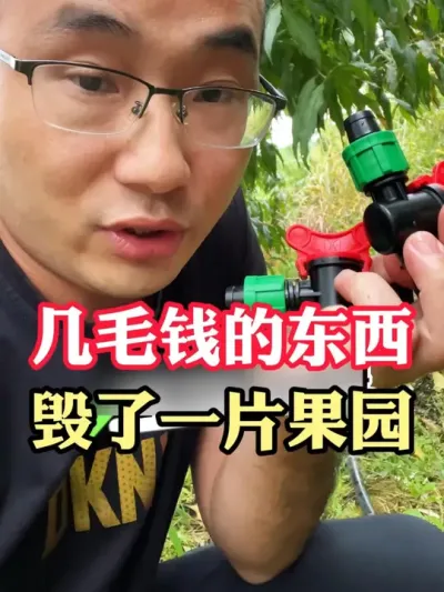 几毛钱的东西，让你损失几万块！ 别小看这些小东西，不仅让你花打钱，还能让你烦透心#助力三农 #果树管理 #新农人计划  #水肥一体化 #滴灌带