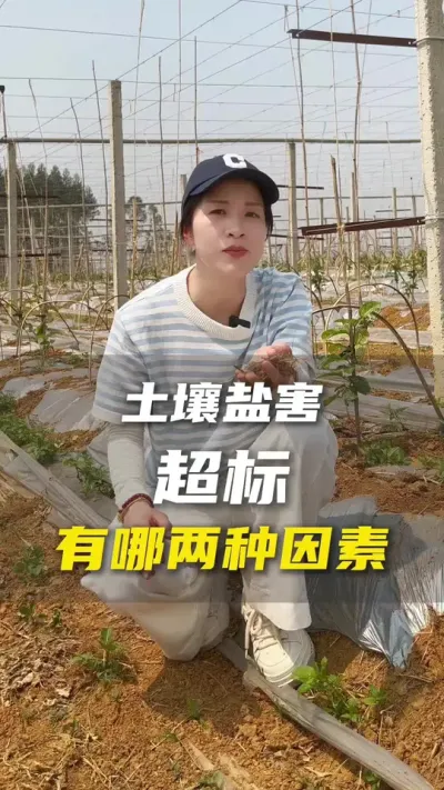 盐害有哪些原因？#百香果 #农业种植 #抖音助农