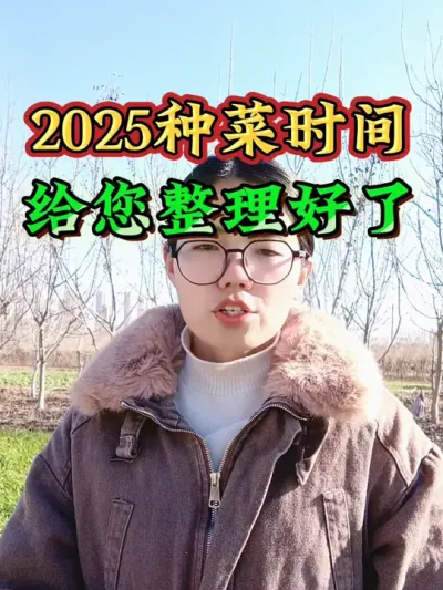 2025年种菜时间表给您整理好了，二十四节气种菜时间#应季蔬菜时间表 #2025种菜时间 #蔬菜种植 #三农 #农业